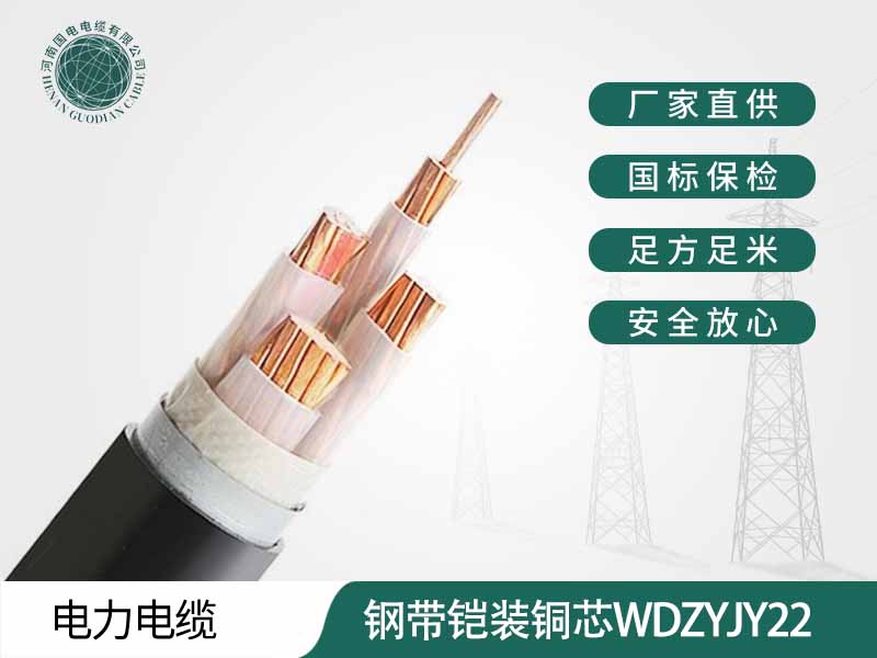 鄭州電纜廠家生產的鋼帶鎧裝銅芯南瓜视频在线观看入口